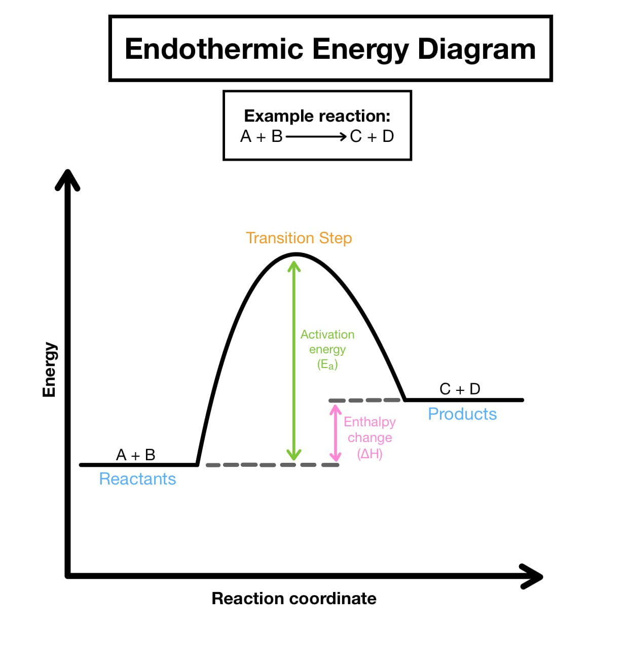 endothermic graph